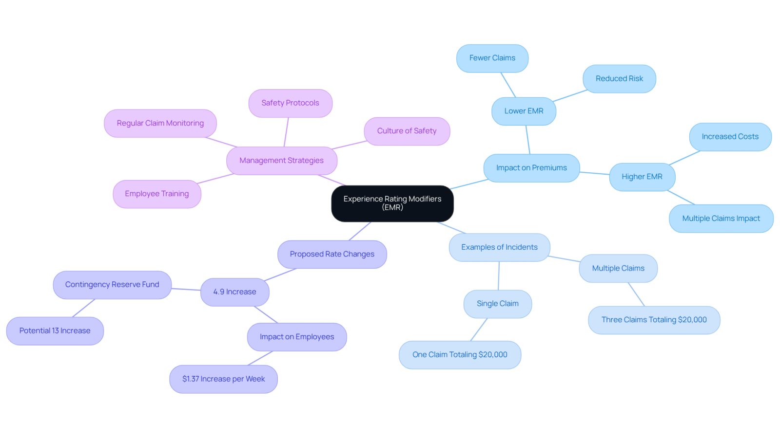 The center represents EMR, with branches showing how it affects costs, examples of incidents, proposed changes in rates, and strategies for management. Follow the branches to explore each aspect in detail.