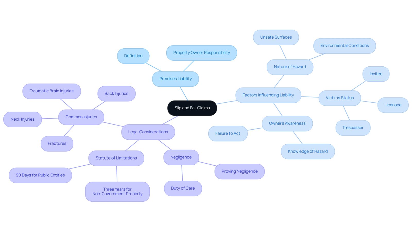 The central node represents the overall topic, while branches show the main factors and legal aspects that affect slip and fall claims. Each color-coded branch helps you see how different elements relate to the central theme.