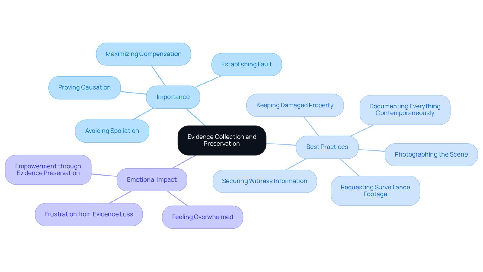 The center shows the main topic, while branches illustrate the importance of evidence and specific actions you can take. Each branch helps you understand how to effectively gather and preserve evidence for your case.