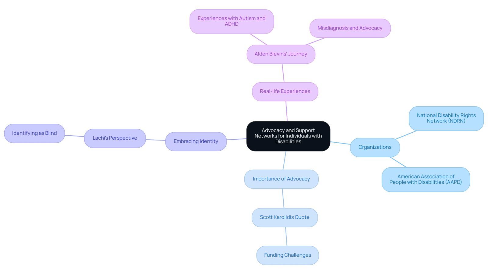 The center represents the main theme, while the branches show different aspects of advocacy and support. Each branch connects to specific organizations, quotes, and personal stories, illustrating how these networks help individuals with disabilities.