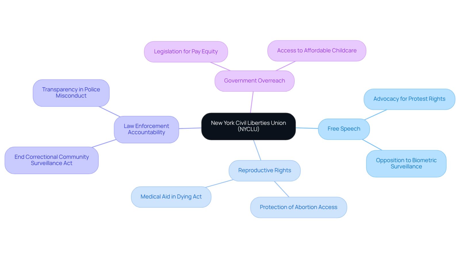 This mindmap shows how the NYCLU works to protect our rights. Start at the center with the NYCLU, then follow the branches to see the different areas they focus on, like free speech and reproductive rights. Each branch represents a vital part of their mission to defend our freedoms.